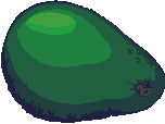 avacado.gif